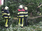 Prio 2 Stormschade Mr Andreaestraat Kollum